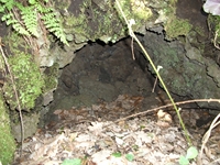 nte Cicirello-10042012 047